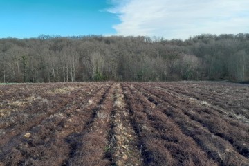 Boisement - Saint-Mards-en-Othe  (10)