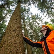 Les coopératives forestières